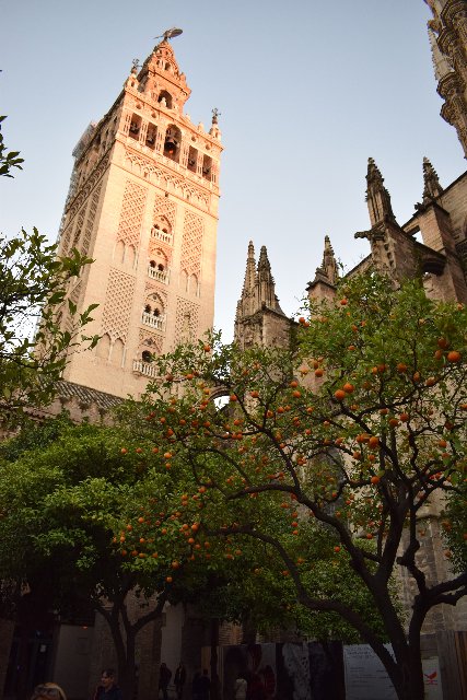 Fin de semana en Sevilla. - Blogs de España - Domingo 29 diciembre. Visita Real Alcázar. Catedral. Paseo por Sevilla. (7)