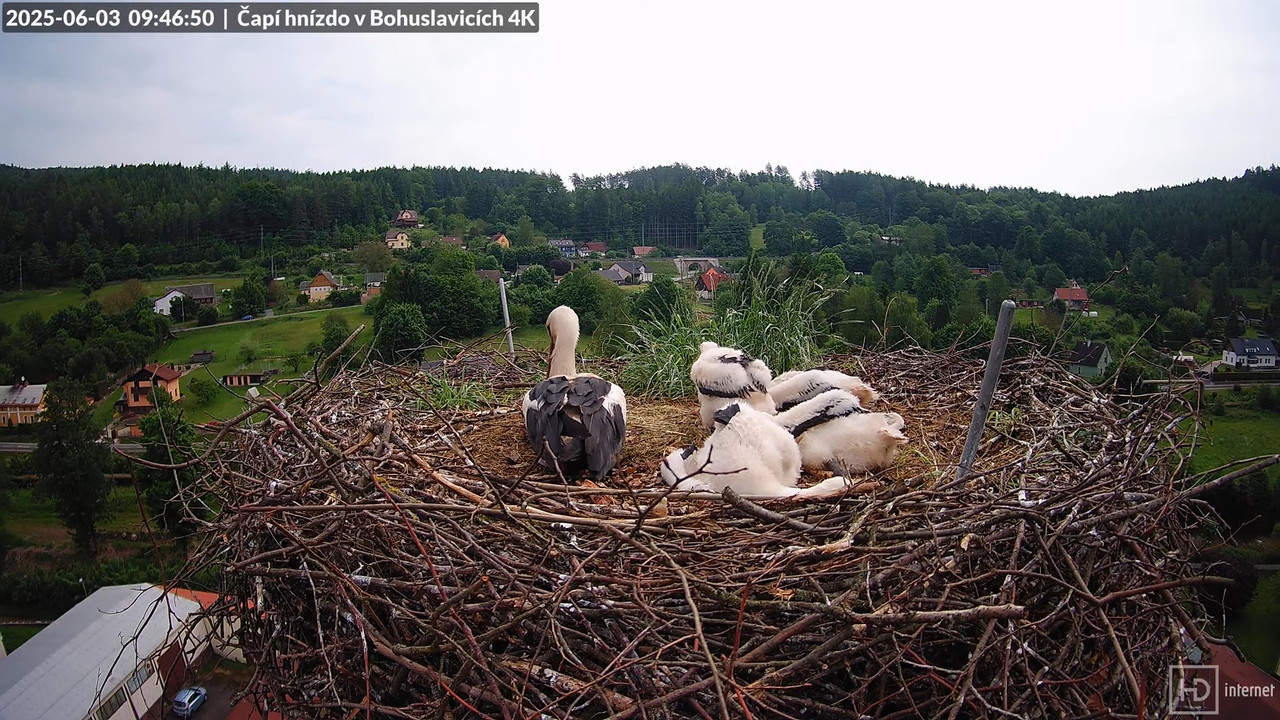 Živě z čapího komína firmy KARA v Bohuslavicích u Trutnova 8-8-58 screenshot