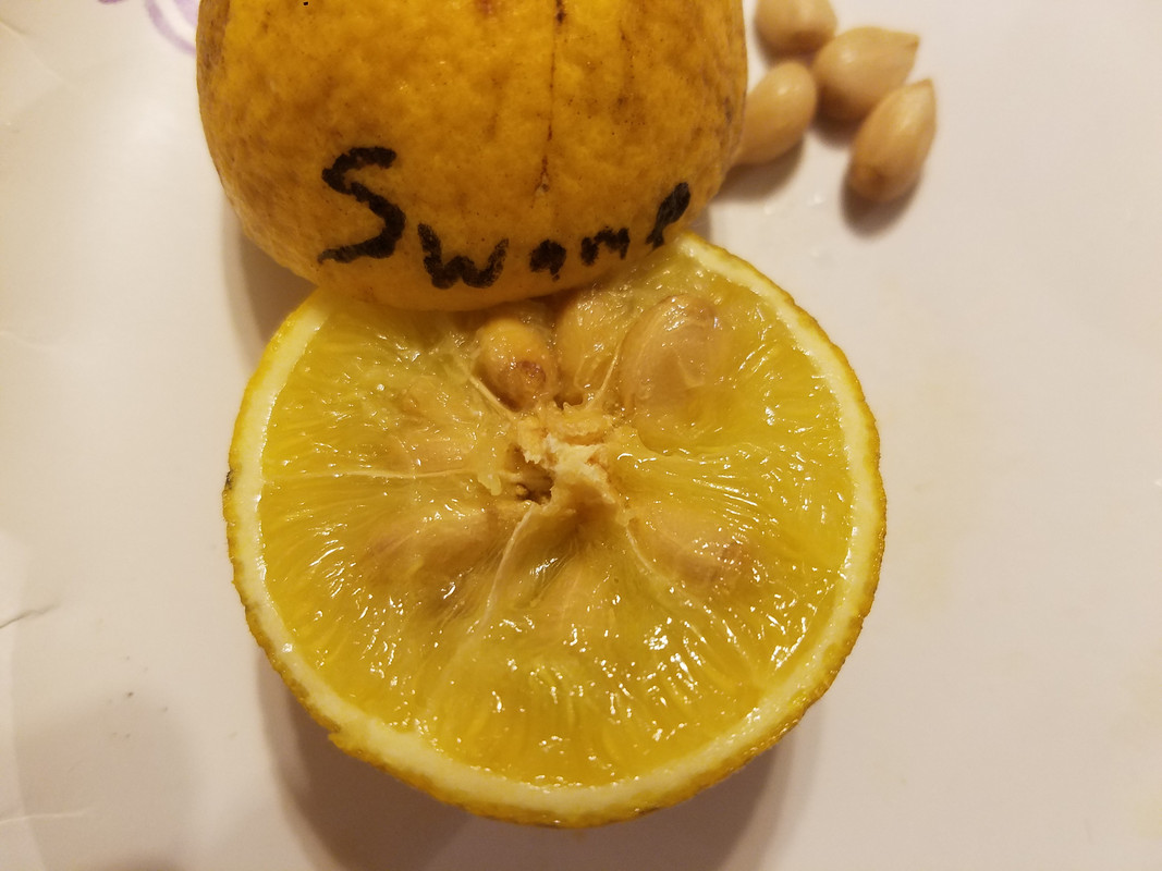 20181021_202608