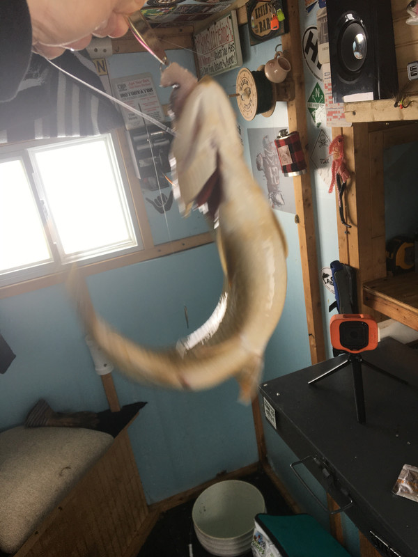 847BFADA-B0A5-4D49-9B4B-8C071C059143