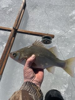 6E7EC800-E1A0-4FFB-8B37-0AEECCFCC664