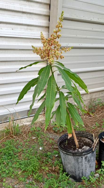 IMG_20250215_093154451_HDR~2