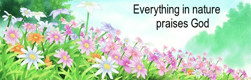 YES-everything-in-nature-praises-God-animated