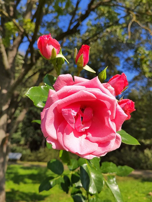 https://i.postimg.cc/7hKmb0xY/020-IMG-20240918-115412-edit-281573490456284.jpg