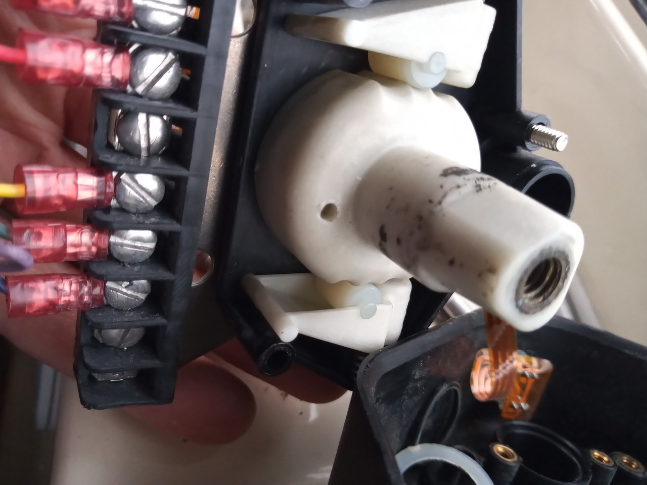 IMG 20231203 130111931