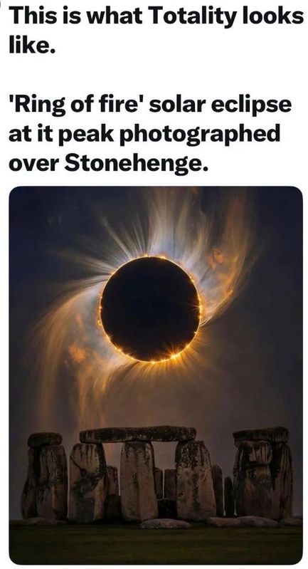 Screenshot 2026 08 16 at 15 06 50 Post a MEME Thread Page 5968 Yellow Bullet Forums