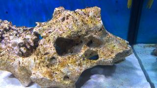 E5CD991E-D625-45BF-8D76-359A673CC511