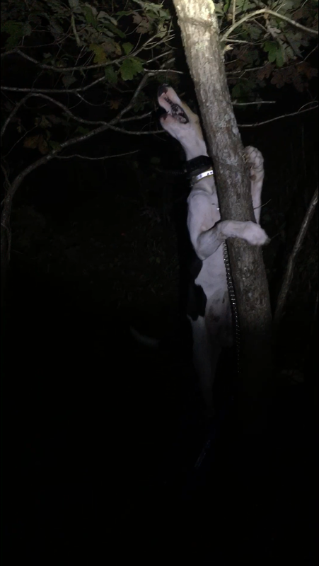 9CC2F836-B28F-46BC-BD06-B33CE8E935E2