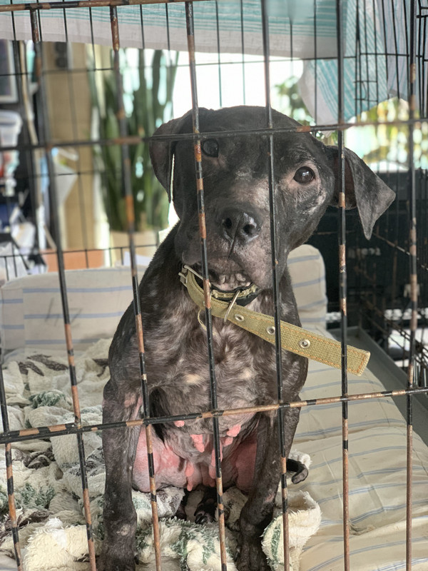 80B54893-0B99-4A70-A7EB-2098A05534FF