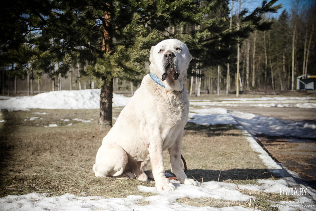 C2E6040D-82F9-4123-88C6-87FF2B1273C4