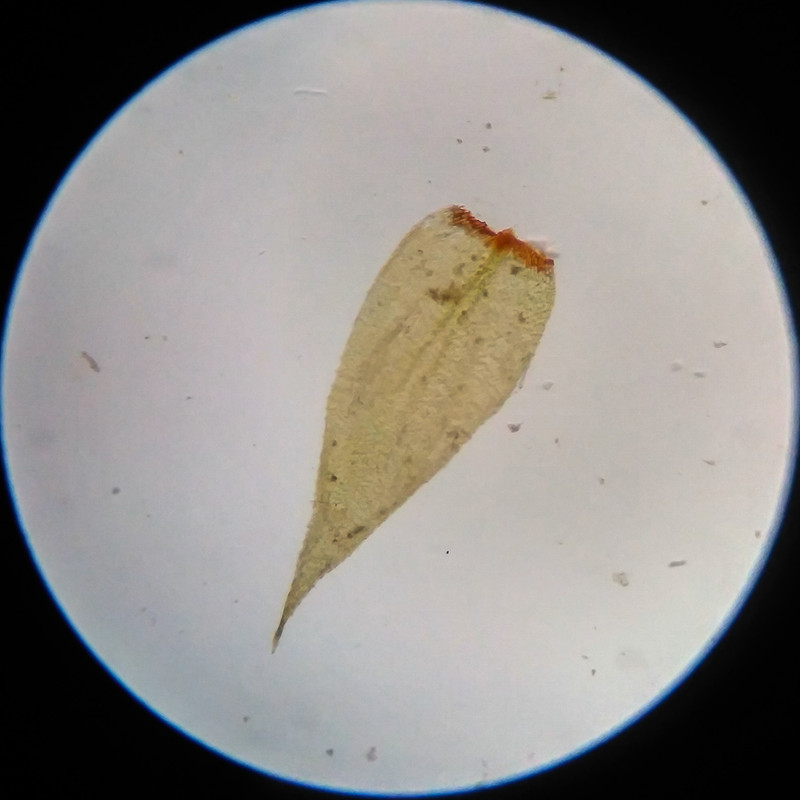 IMG 20250617 111458 HDR