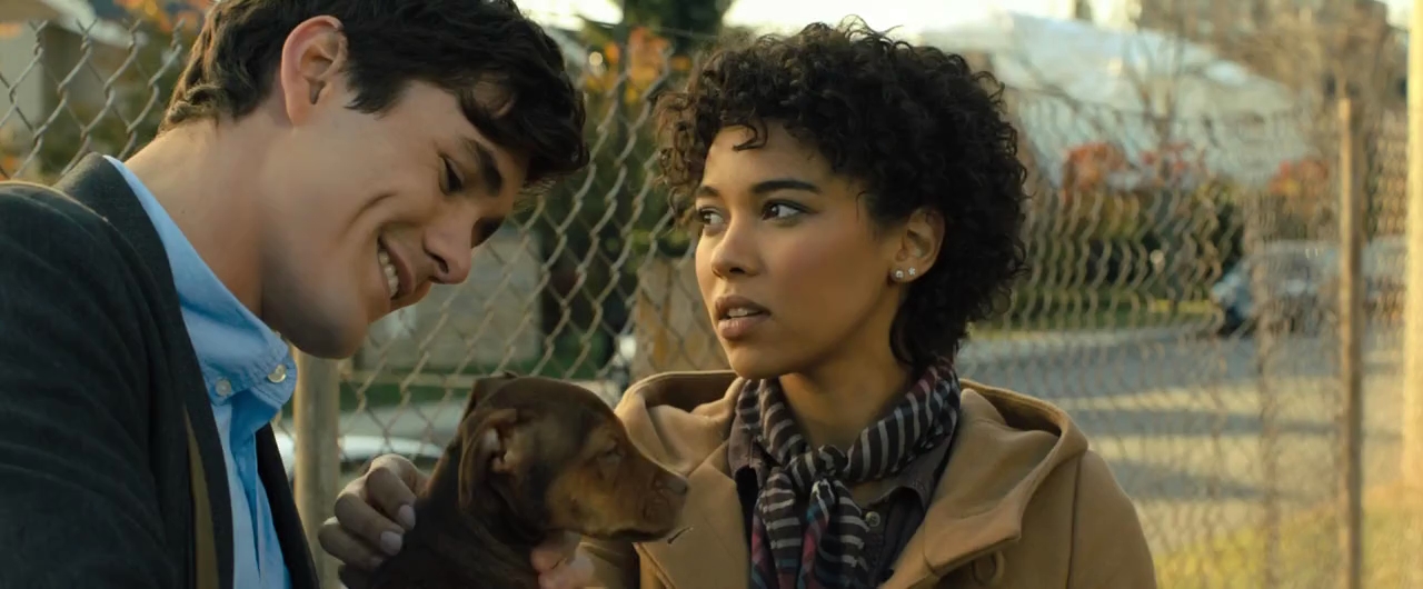 Download A Dog's Way Home