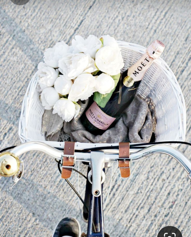 Screenshot_20230801_235417_Pinterest