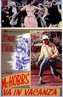 Mister Hobbs va in vacanza (1962).mkv BDRip 576p x264 AC3 iTA-ENG