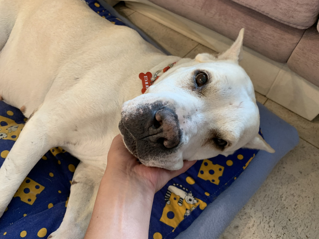 9F76A602-1E35-40B0-9048-900A9B5048A2