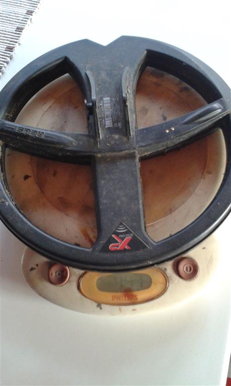 20140314_160849 (Medium)