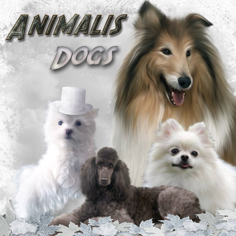 ANIMALIS - Dogs