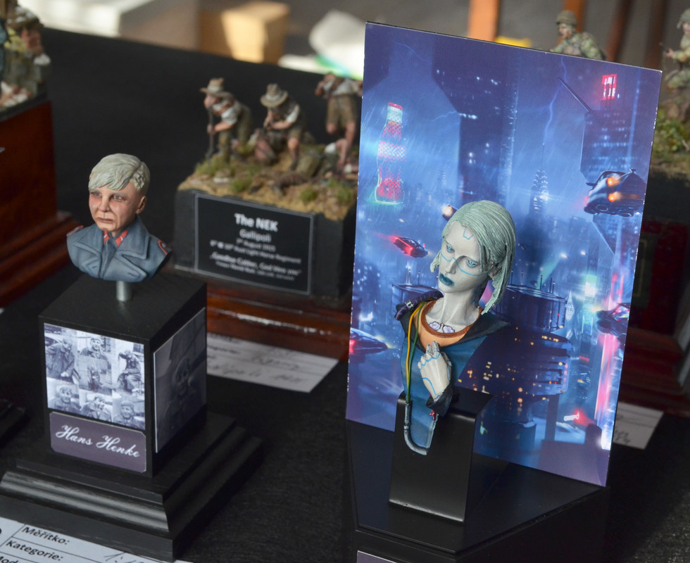 Žamberecký divočák 2019 453