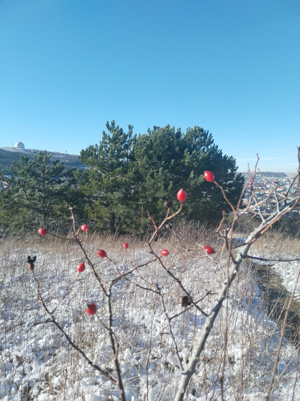 IMG_20240123_103650_edit_373730254489775