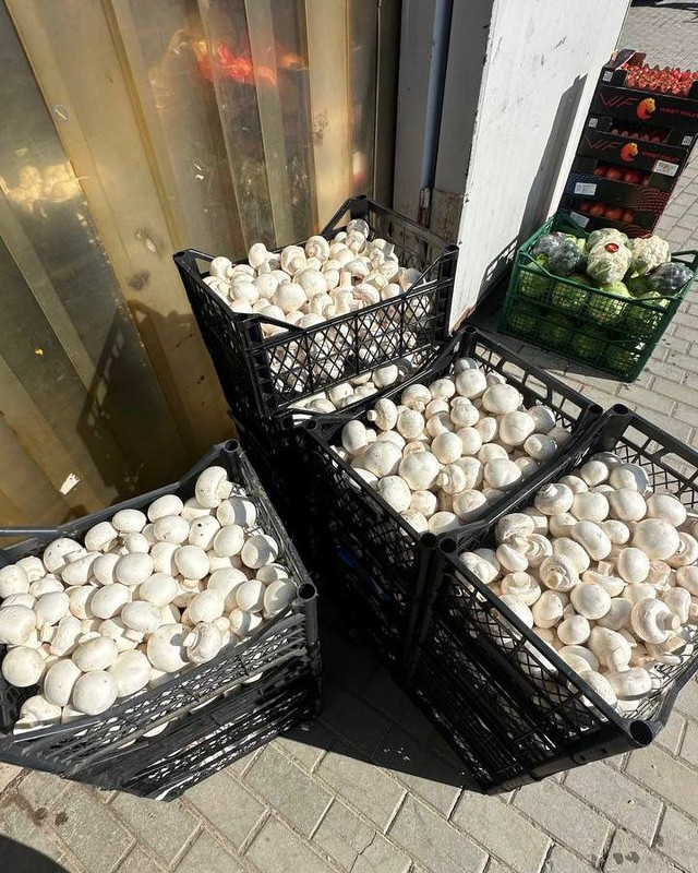 photo_2024-03-16_19-26-15