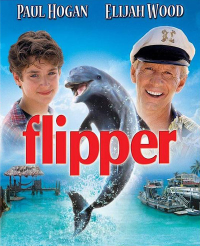 Flipper 1996 Hindi Dual Audio 720p BluRay 700MB Download