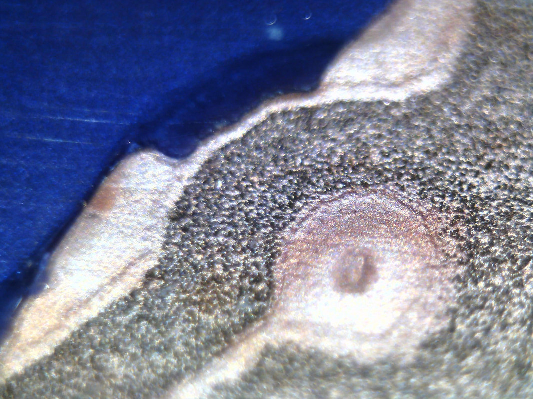 Изображение 007