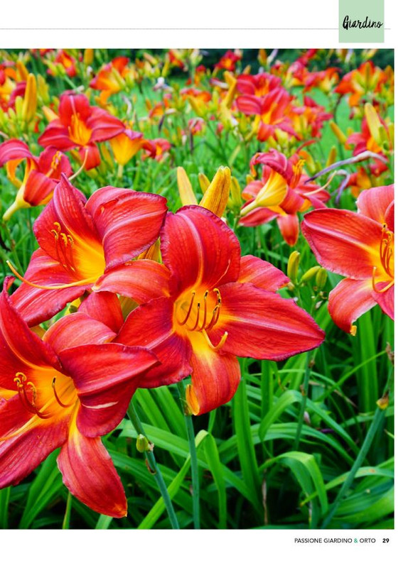 Pass Giar e Orto Ago-Set 2023 (2)