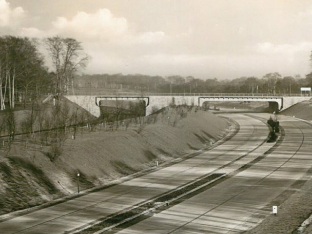 1937diefertigebahnm-demdhd.jpg