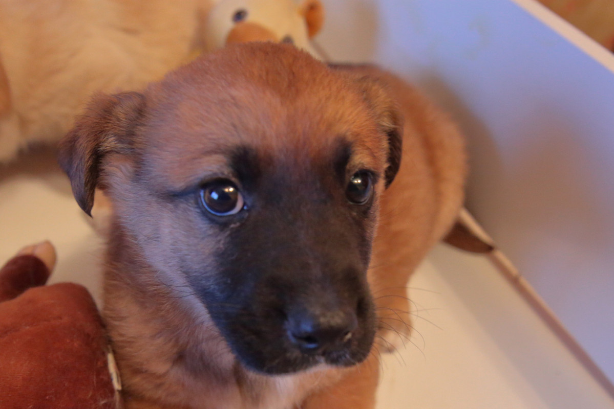 5351DB17-CAD8-42EB-9431-AE6EF9450643