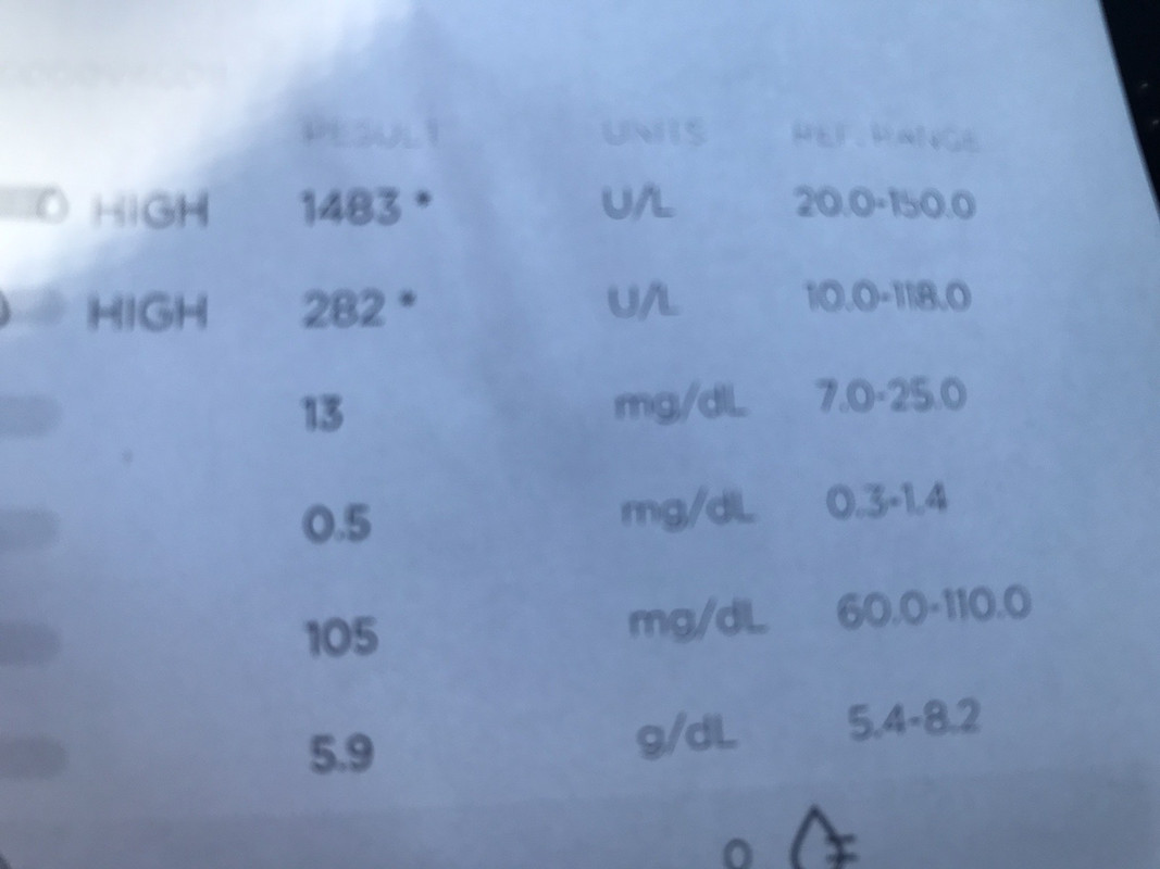 33BE9E0B-1D76-4401-8CCC-6352048BAB41