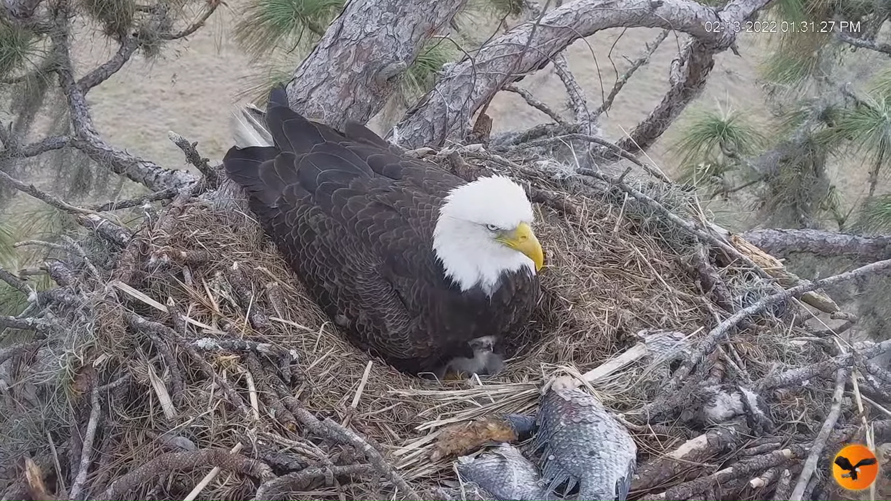 EC 4K Overhead Cam 9-20-23 screenshot