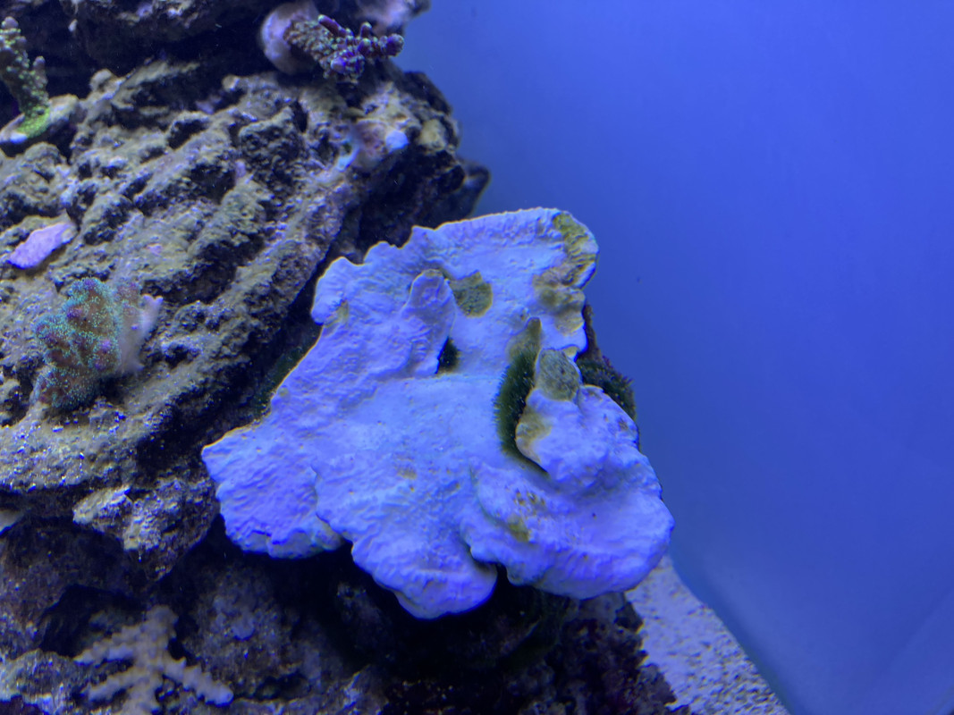 26082365-7E63-4482-850F-8B35AD16CD39