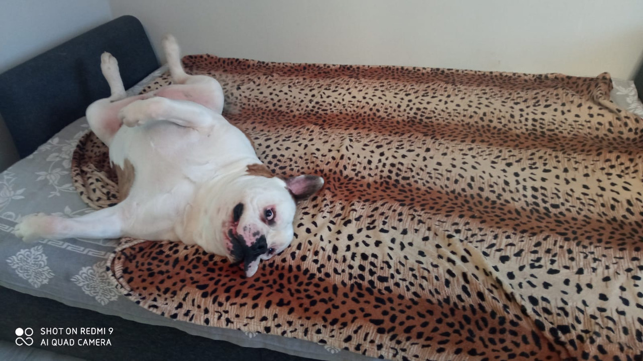 B6E2AC85-5DD6-477E-B2FB-C95E9DBB9FCE