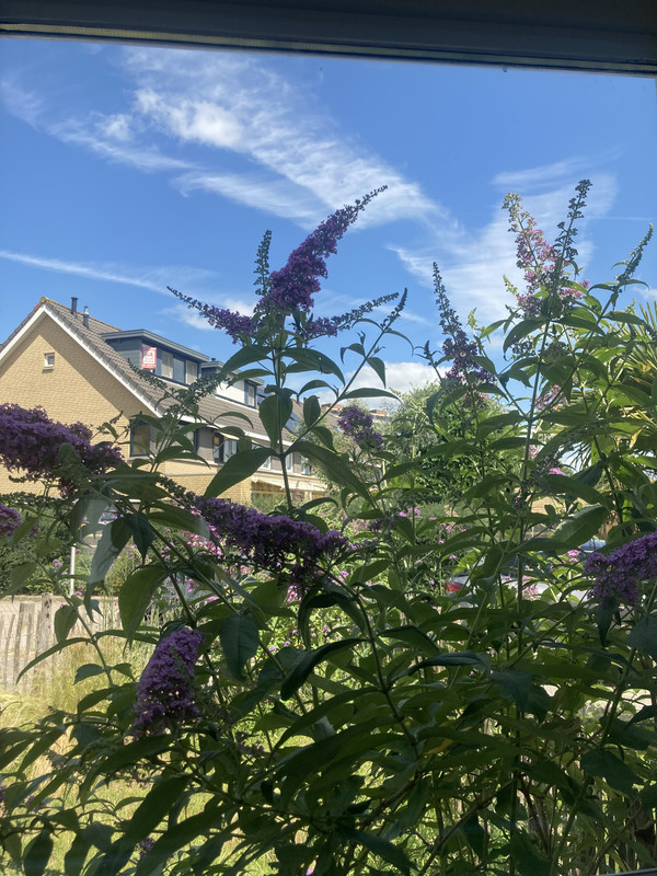 21E3A36E-A3B9-4F89-B512-D7BEF5876112