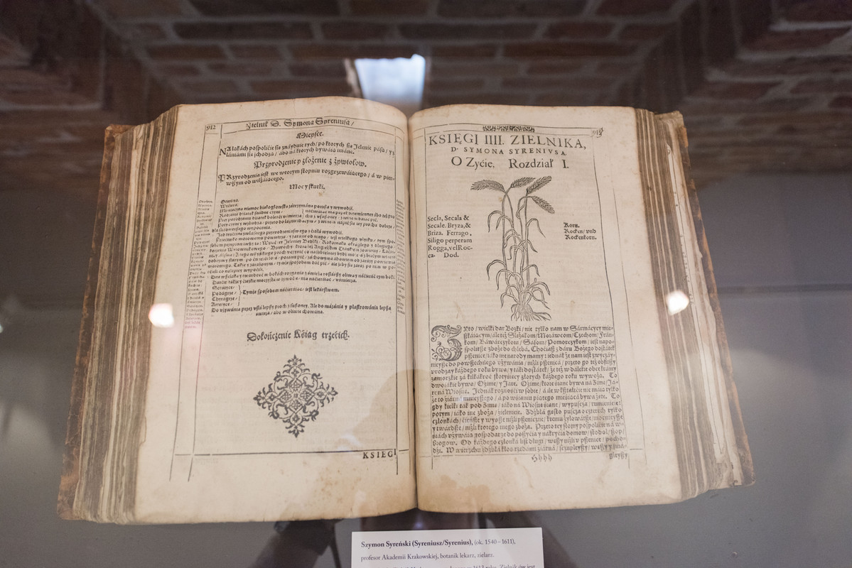 16.25 - NEW_9178 (Konfiturek)