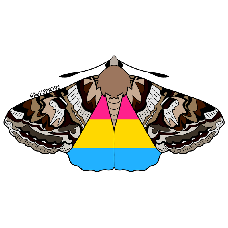moths3-1