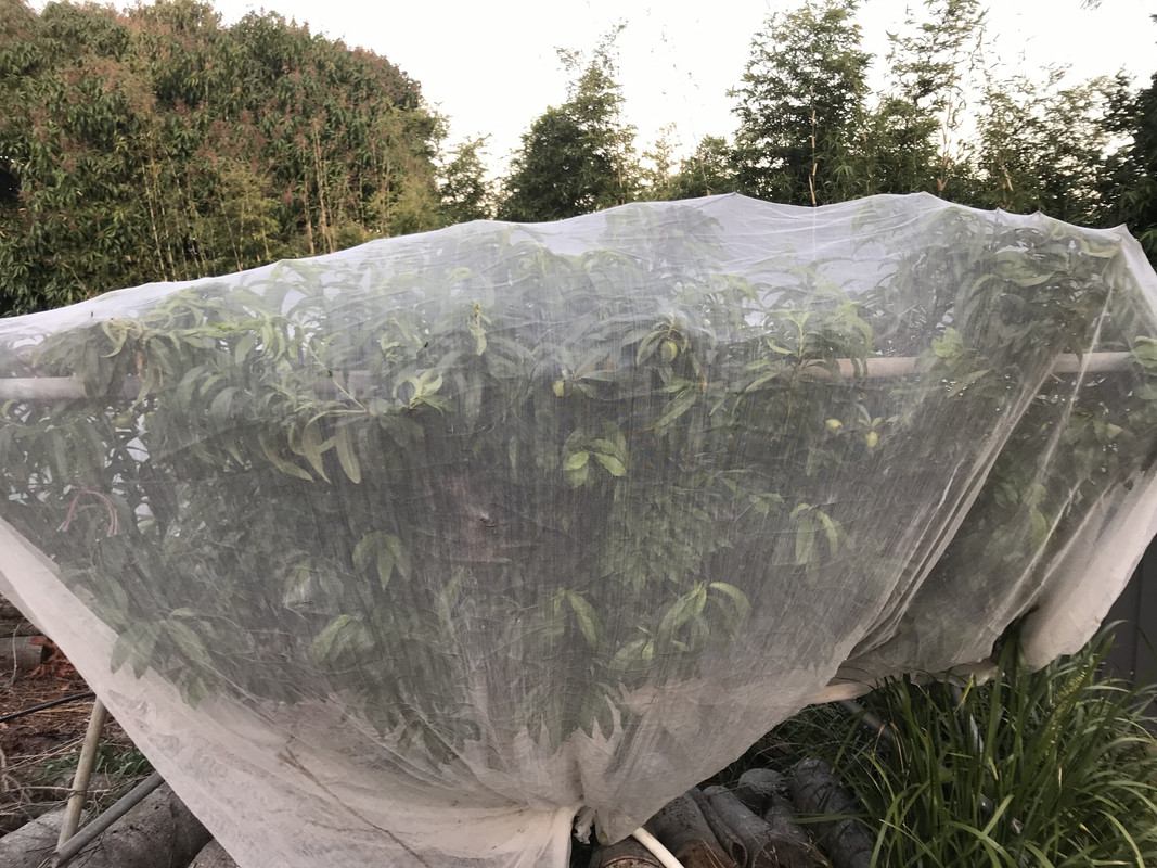 524D76D3-577E-42C3-8232-F59F3385E73A