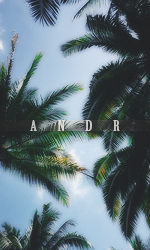 ANDR.png