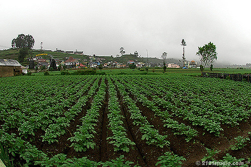 3327550561-595d0e73fc-z.jpg