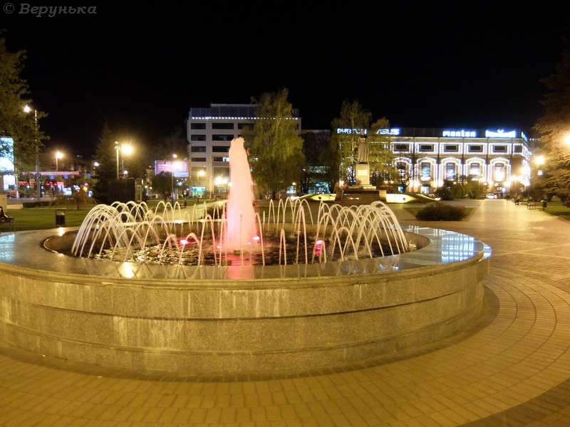 DSCF4802