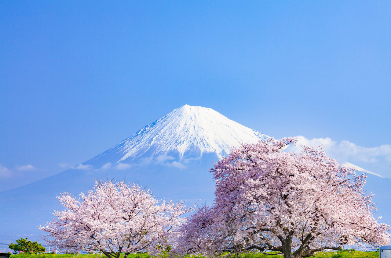 قطار شینکانسن و استفاده از Japan Rail Pass برای توریست‌ها در ژاپن