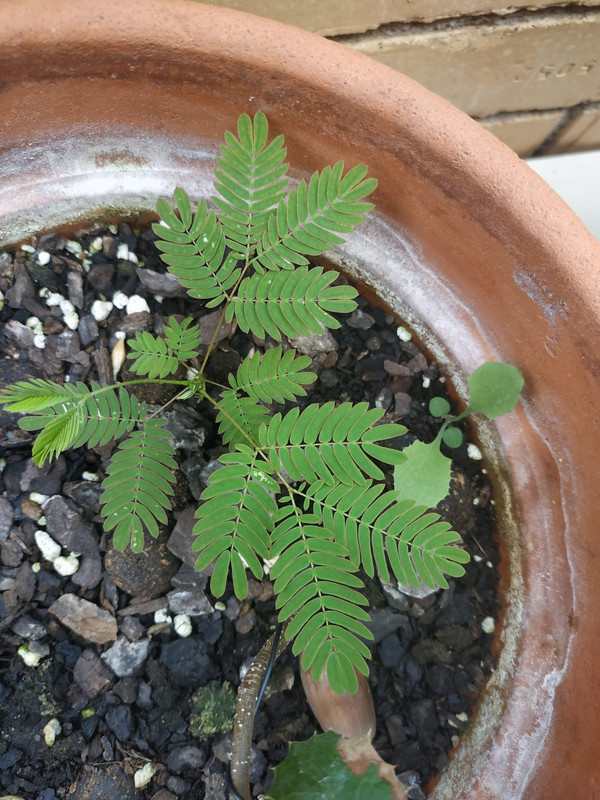 WhatsApp Image 2020-08-07 at 19.58.41 (5)