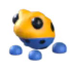 Poison Dart Frog