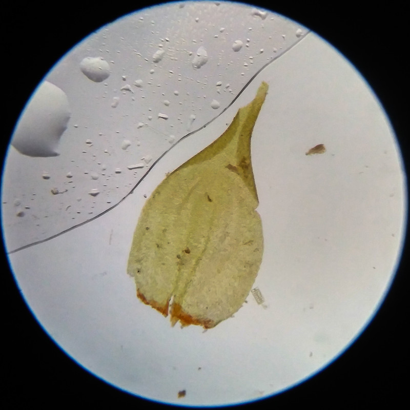 IMG 20250617 111959 HDR