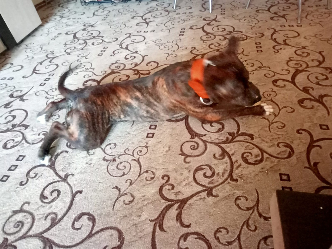 5698BE10-4DAB-4F09-8A52-BC1BBFC47C29