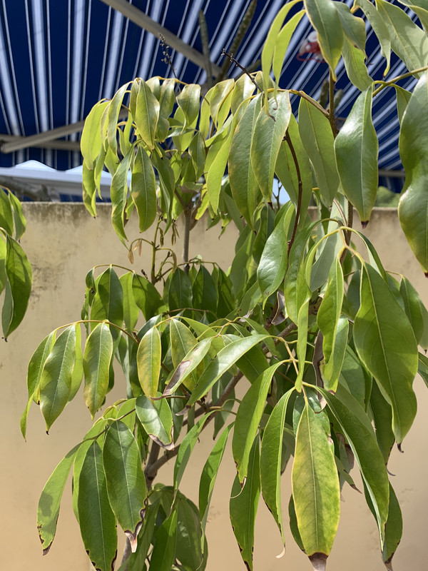 B8A7CB65-D631-4428-AB69-51A09A1AAE51