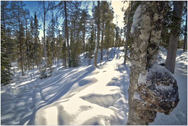 Reportaje por Laponia – Marzo 2023 - Blogs de Finlandia - Parte I (38)