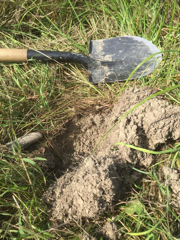 A931C34A-C738-4071-89EB-BC8670729FD3