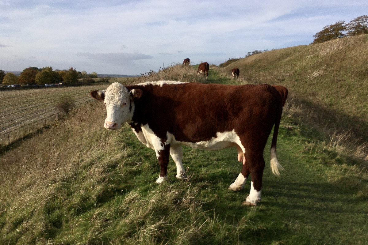 B75C534B-9747-4B06-AC07-D81598EE8169