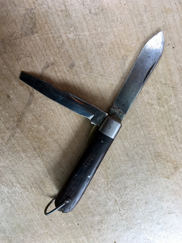 CE3F97C7-989A-4E36-917C-30D24D6EA724